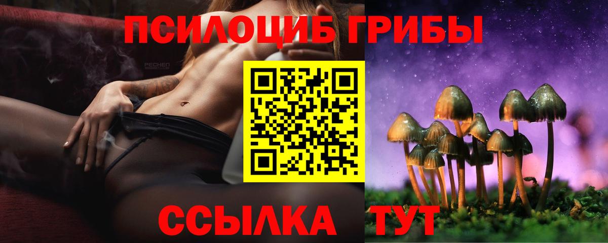 Феодосия  Псилоцибиновые грибы GOLDEN TEACHER  Вход с VPN 